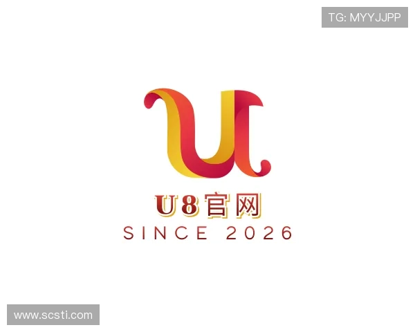 了解U8国际